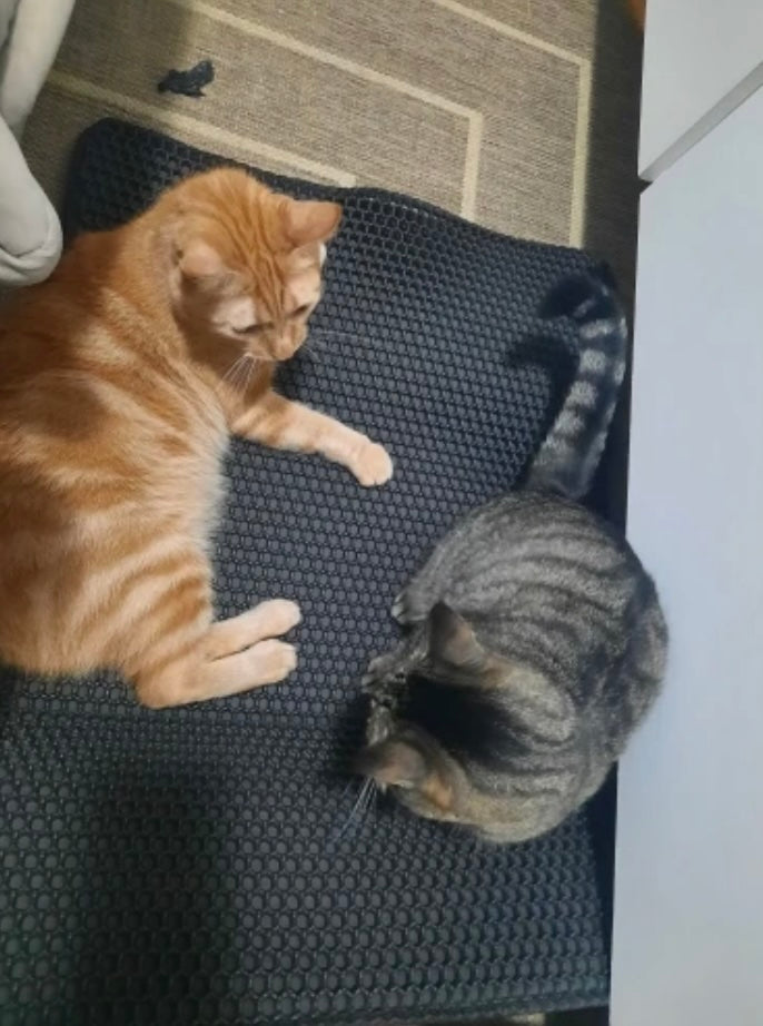 Double Layer Cat Litter Mat