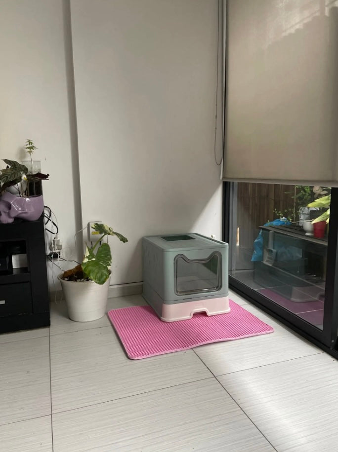 Double Layer Cat Litter Mat