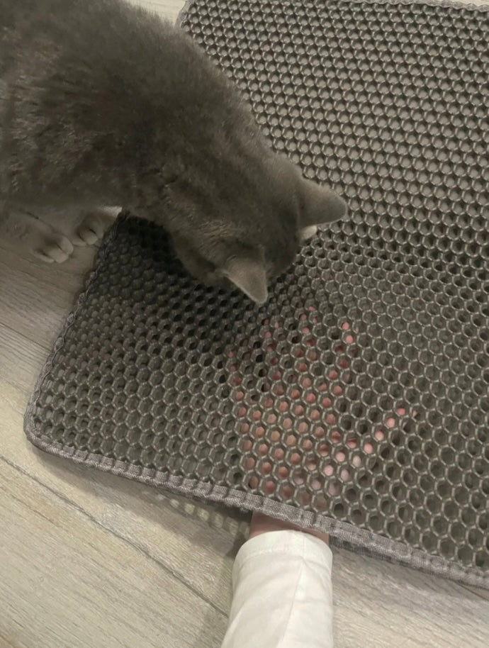 Double Layer Cat Litter Mat