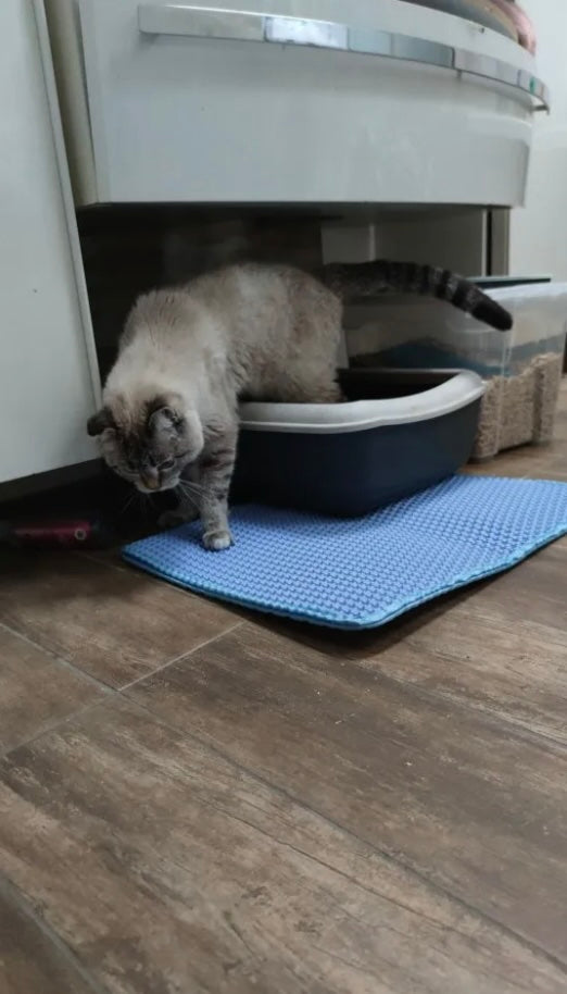 Double Layer Cat Litter Mat