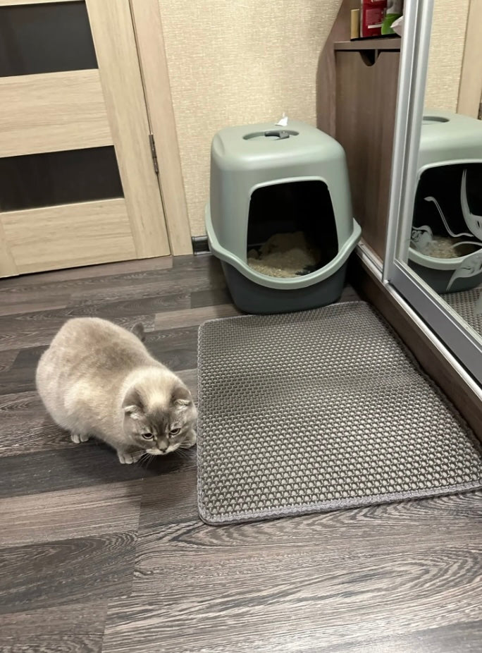 Double Layer Cat Litter Mat