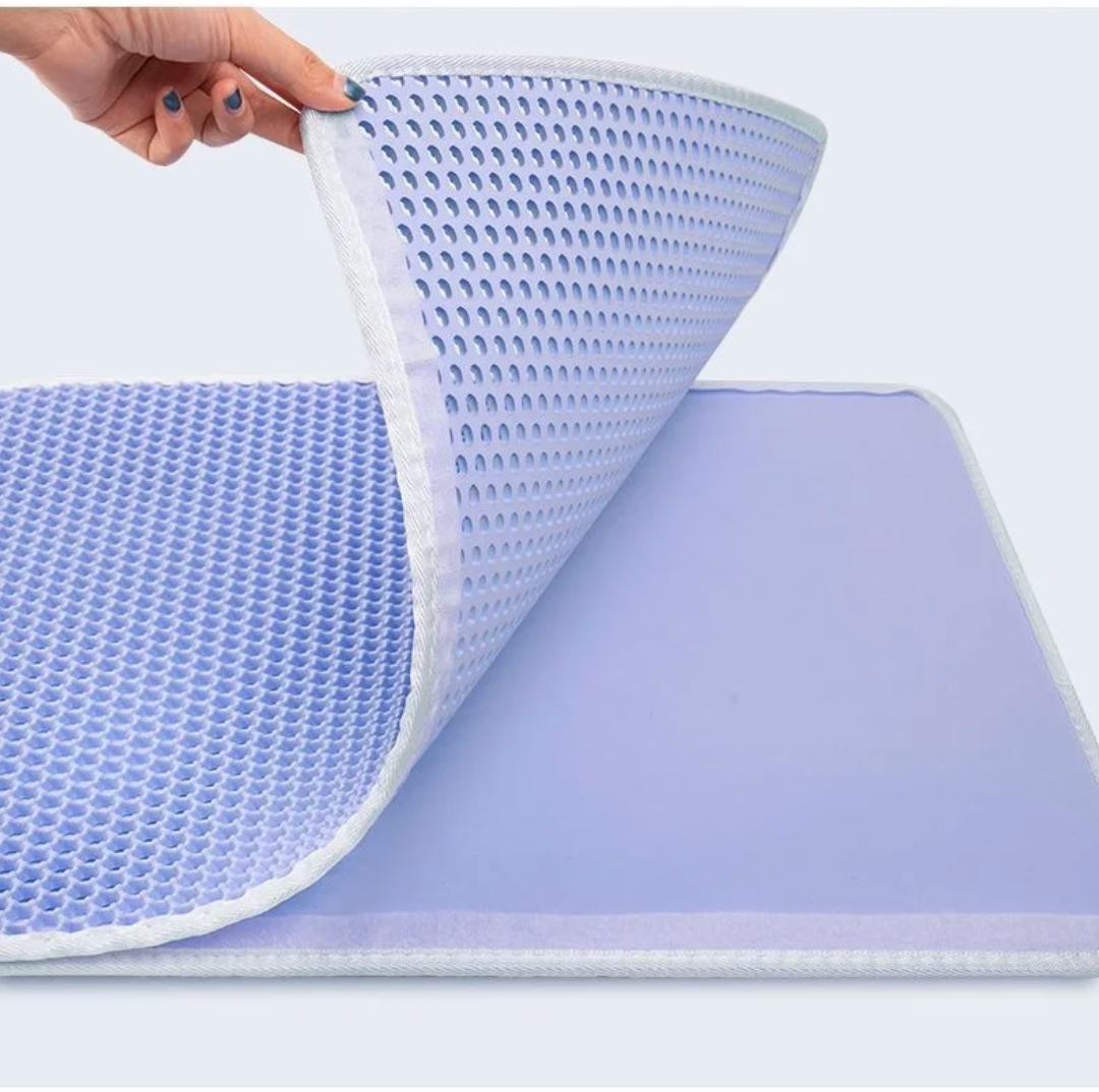 Double Layer Cat Litter Mat