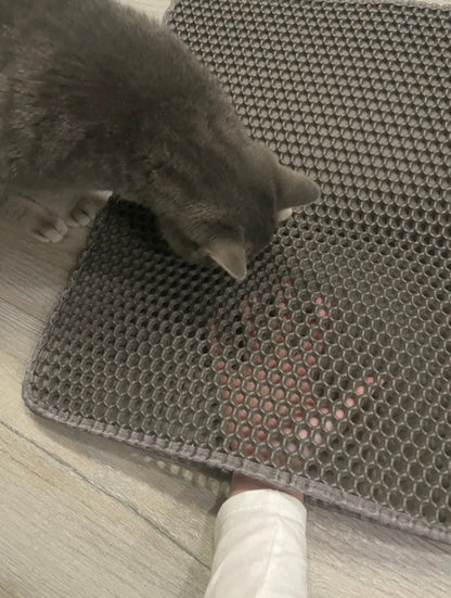 Double Layer Cat Litter Mat